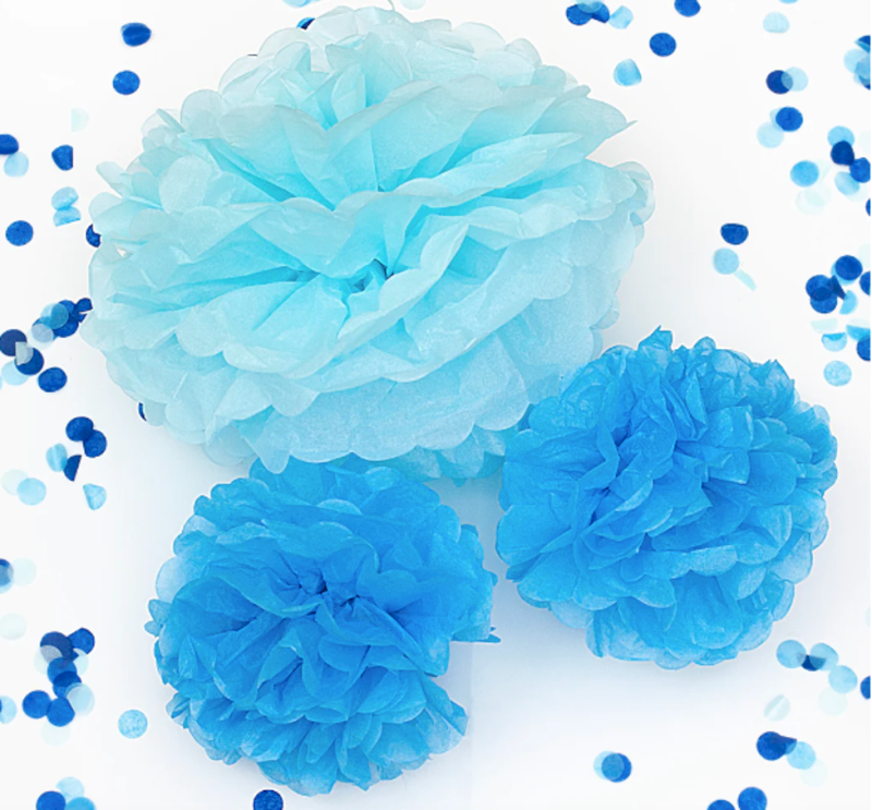 Blue Pom Poms