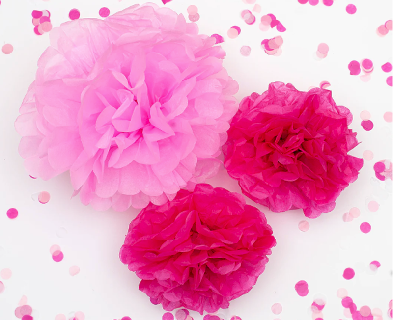 Pink Pom Poms
