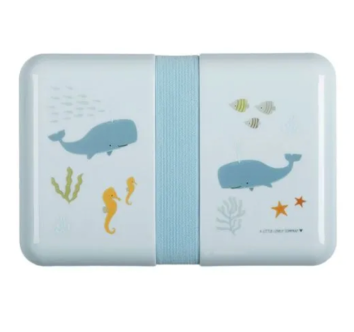 Ocean Lunch Box