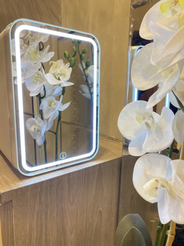 Mini Fridge with Mirror & LED