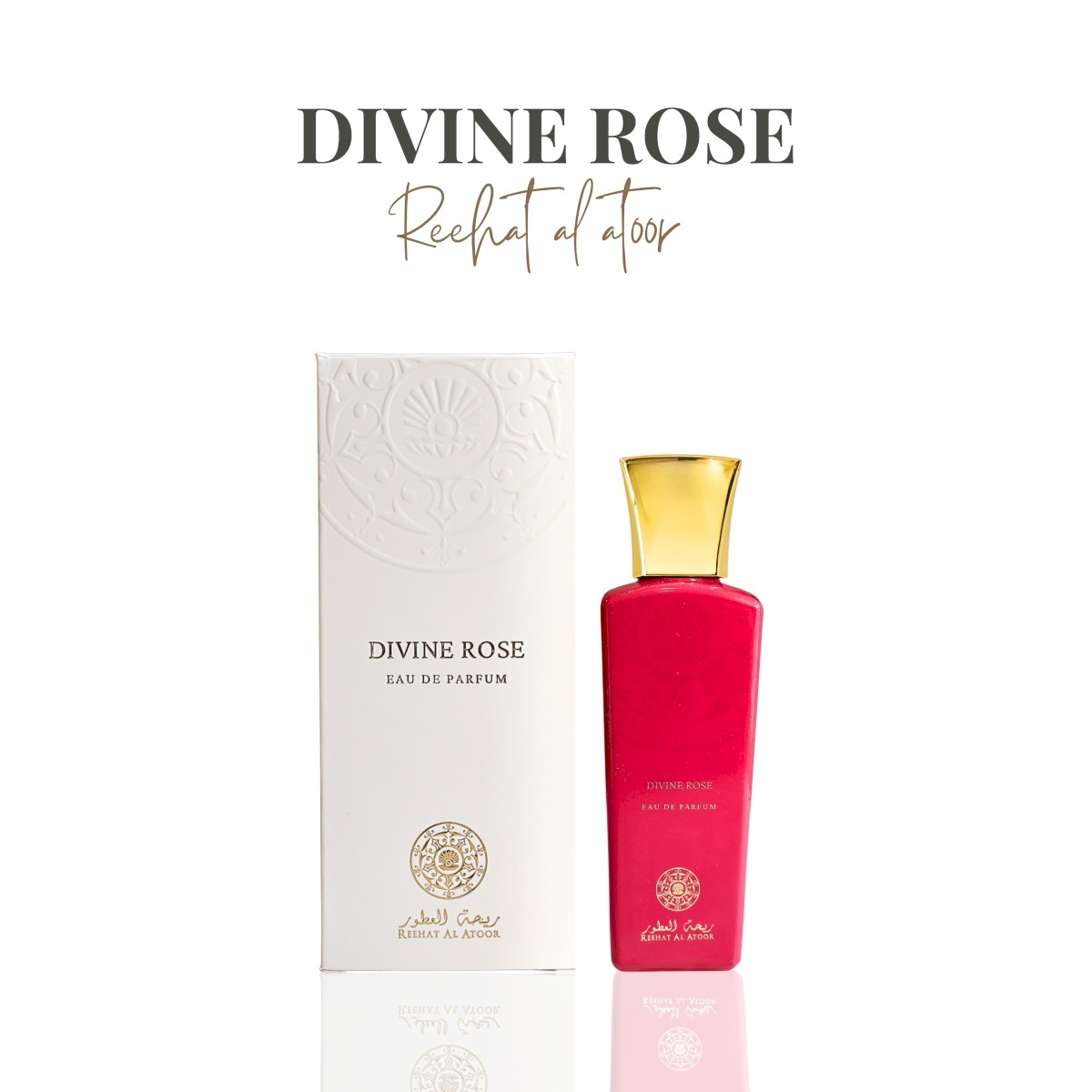 Divine Rose