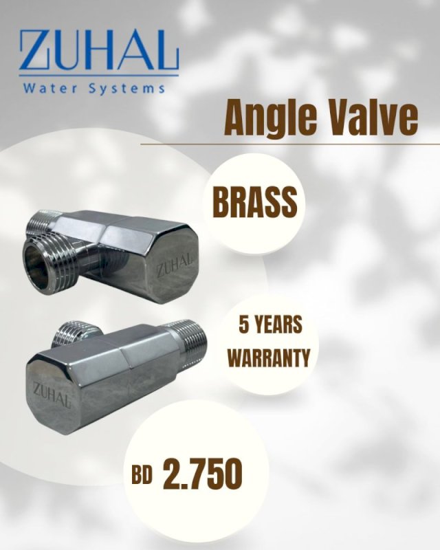 (1)Angle Valve