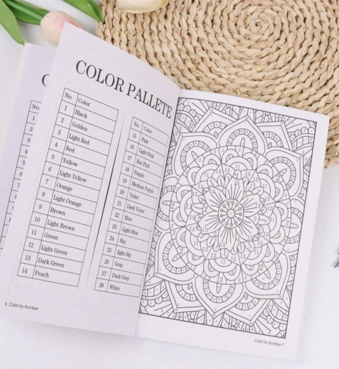 Paint by number book