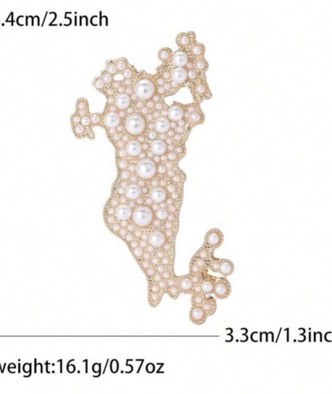 بروش وقلادة الخريطة