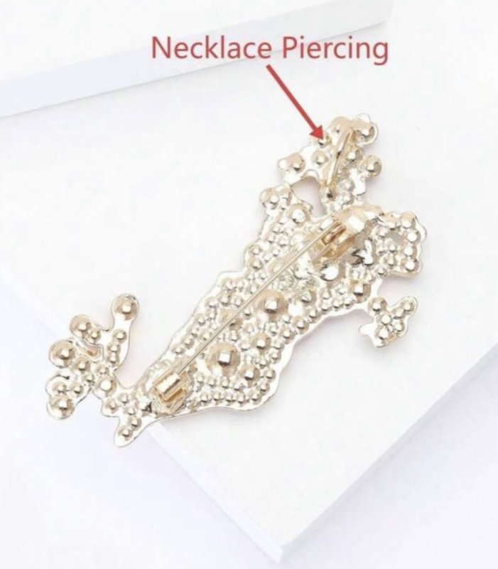 بروش وقلادة الخريطة