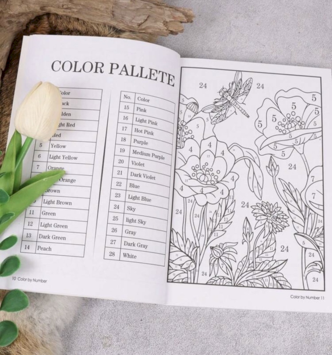 Paint by number book