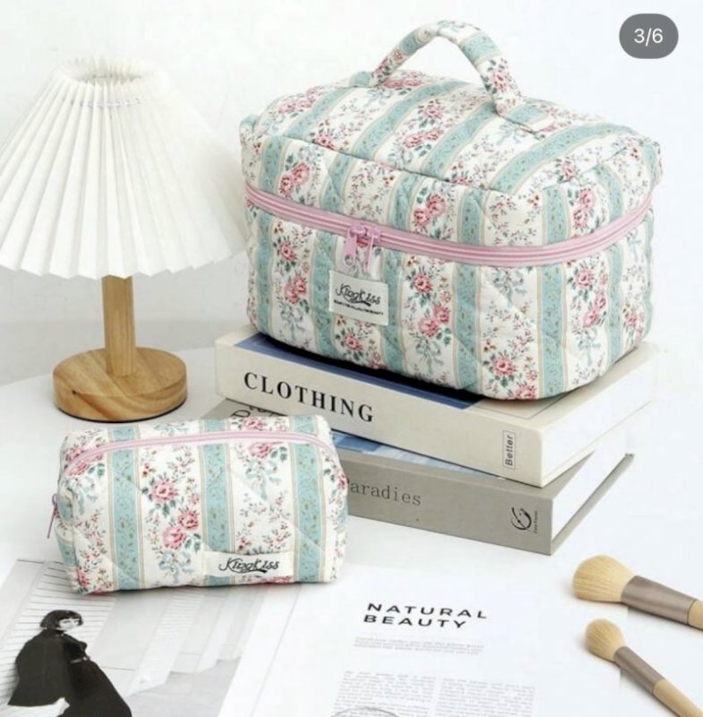 Pouch and pencil case