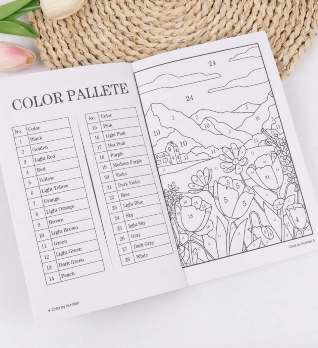 Paint by number book