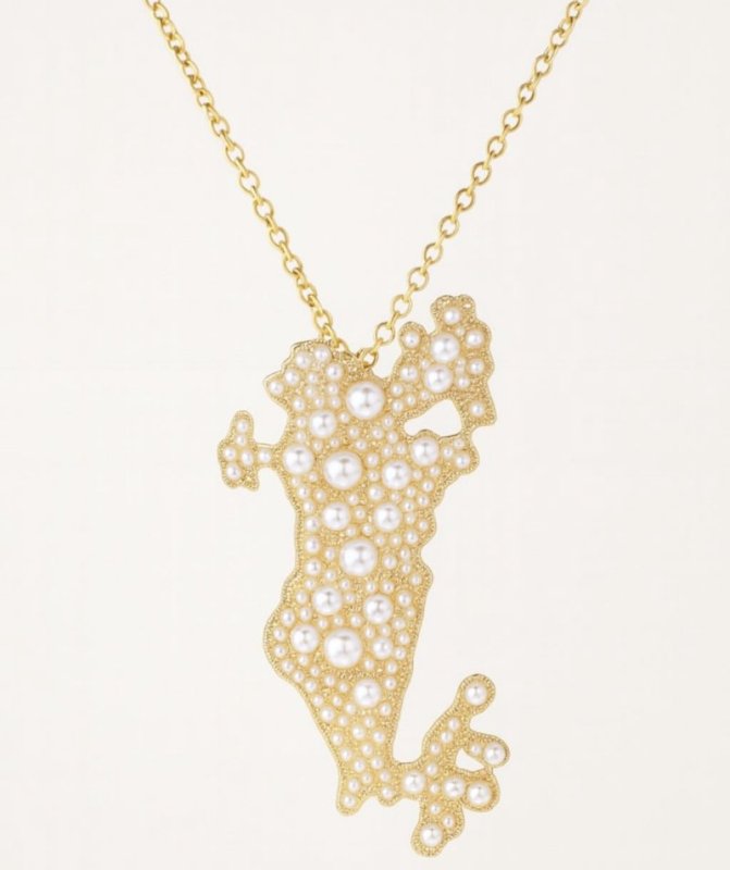 بروش وقلادة الخريطة