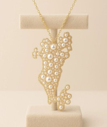 بروش وقلادة الخريطة