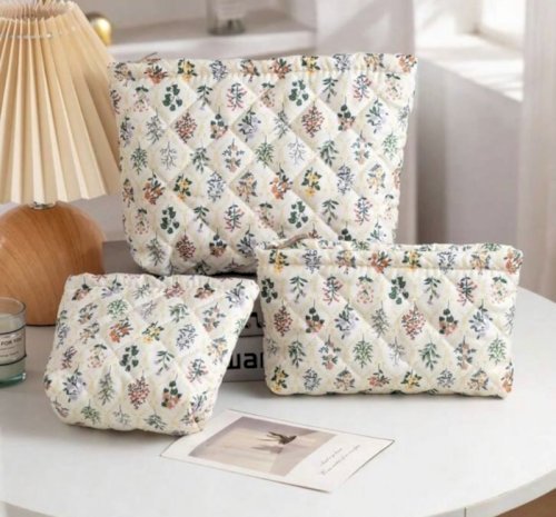 Pouch and pencil case