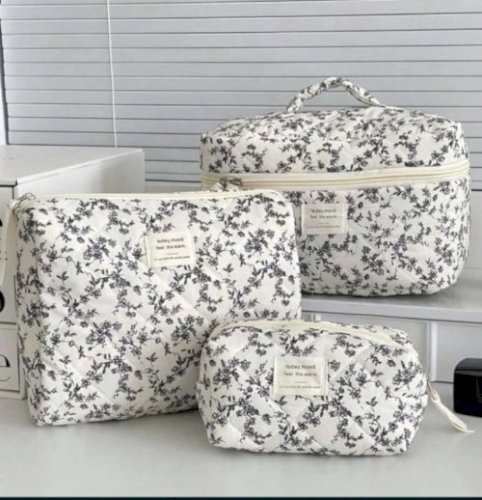 Pouch and pencil case