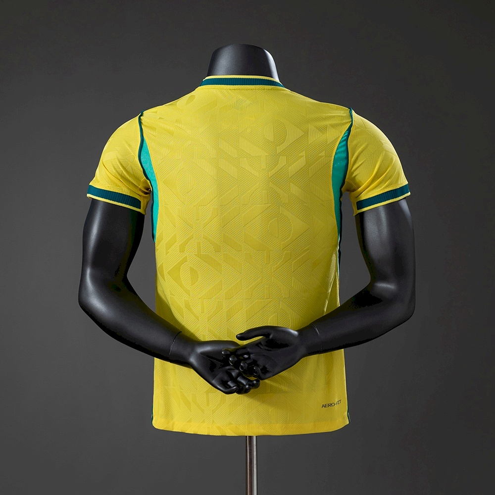 Brazil home 26