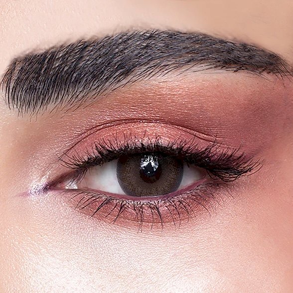 Amara Monthly plano Contact Lenses-Tan