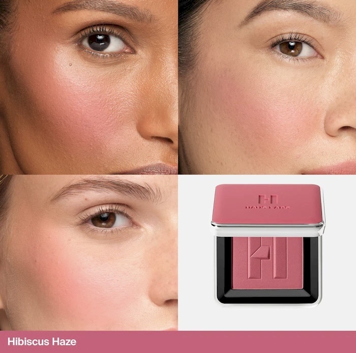 Haus labs Color Fuse Talc-Free Blush Powder With Fermented Arnica