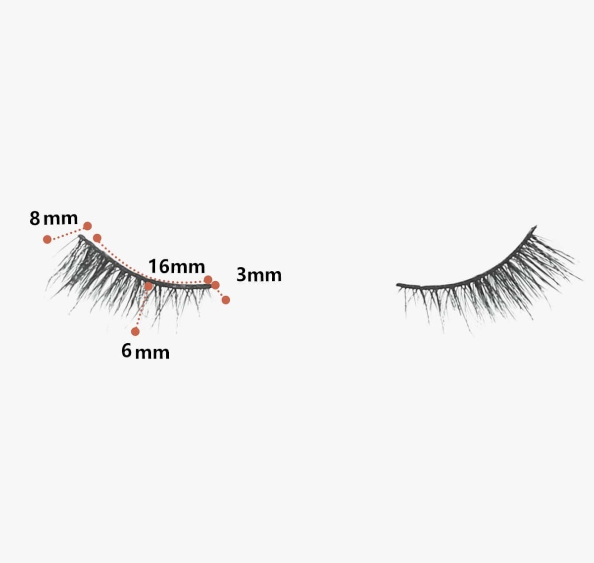 lashes srb383