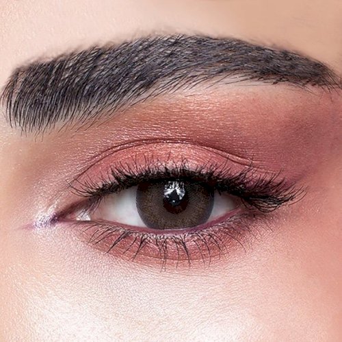 Amara Monthly plano Contact Lenses-Tan