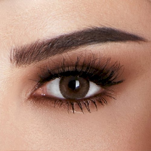 Amara Monthly plano Contact Lenses - Cocoa