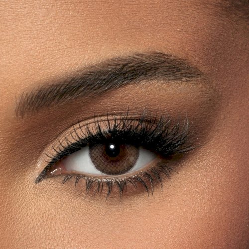 Amara monthly contact lenses walnut