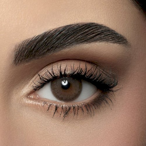 Amara monthly plano contact lenses - dark sepia