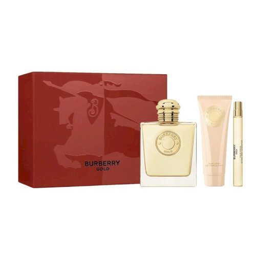 burberry gold set