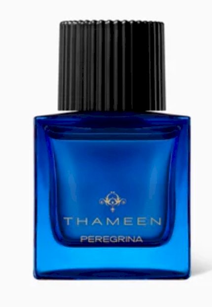 VIP408 مستو حي من TAMEEN PEREGRINA