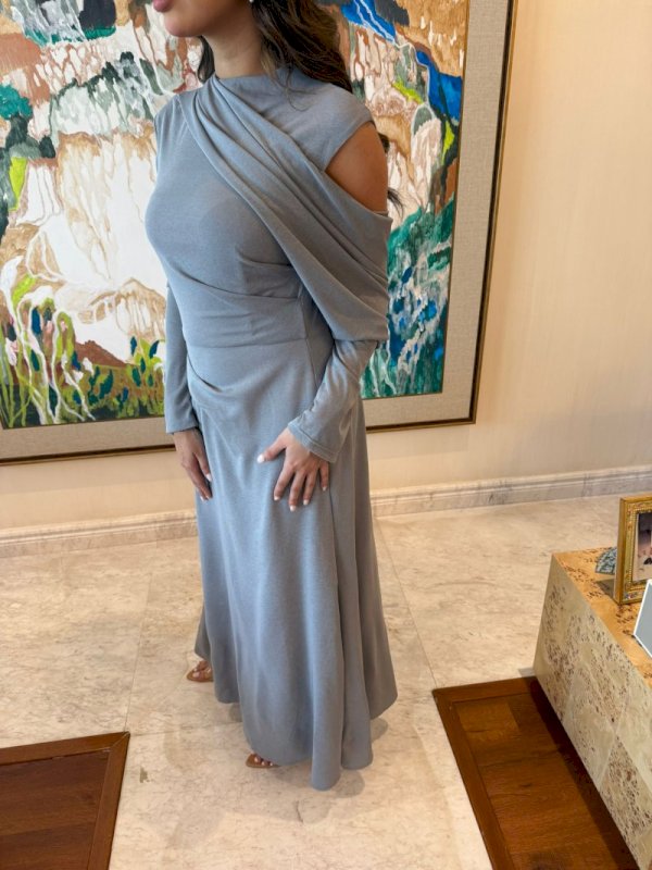 Grey roser dress 2025 116