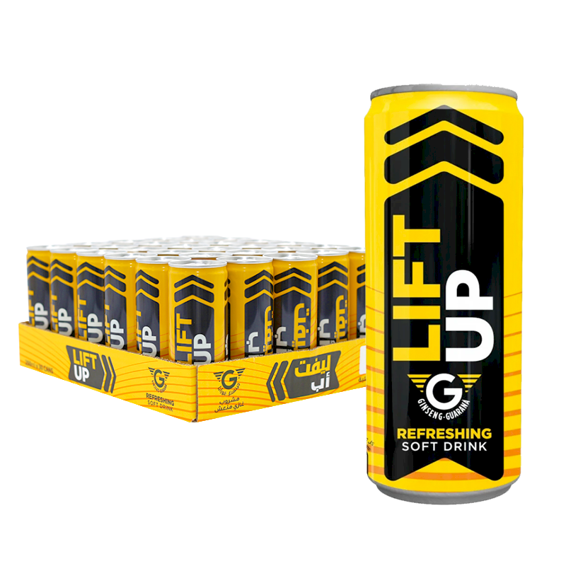 LIFT UP ginseng-guarana (30x250ml)