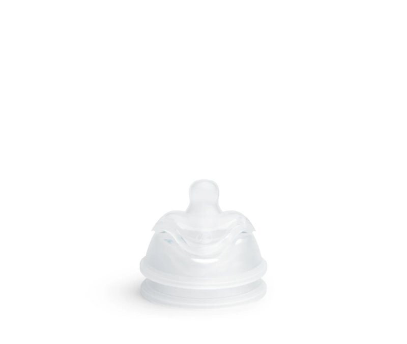 Anti-Colic Teat (L)  2 Pack - 4+ month